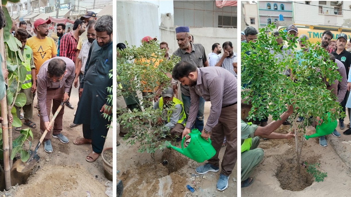 Tree Planting Campaign launched, Town Chairman Announces Planting of 2000 Trees in Each Union Council