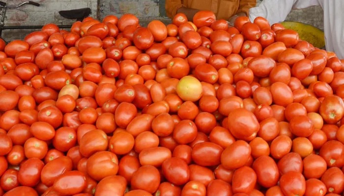 Tomato Prices Soar to Rs 350 per Kilogram in Karachi