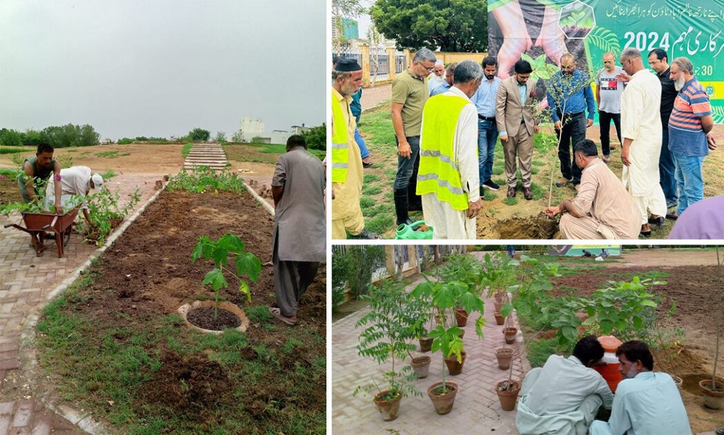 North Nazimabad Town Launches Tree Planting Initiative