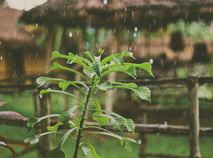 Karachi Experiences Refreshing Rainfall Across Various Districts