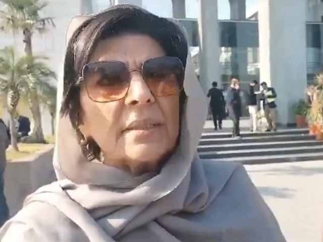 Aleema Khan Speaks Out Against PTI Leadership, Claims They Don’t Want to Get Imran Khan Out of Jail; Questions Azam Swati’s Visit