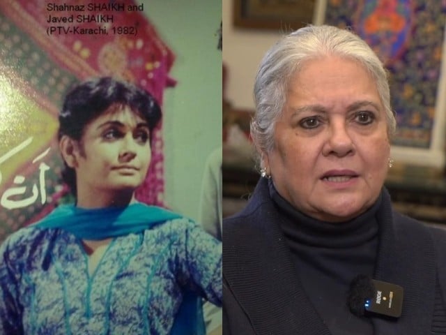 Producers Once Decided the Cast, Now Multinationals Choose Stars to Sell Products, Says Iconic Actress Shehnaz Sheikh