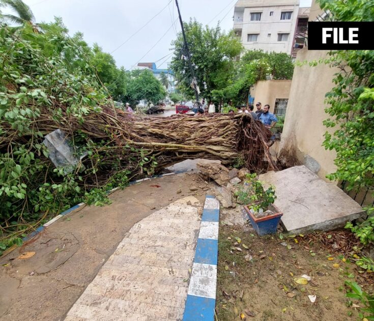 24-Year-Old Saad Killed as Tree Falls Amidst Strong Winds in Federal B Area