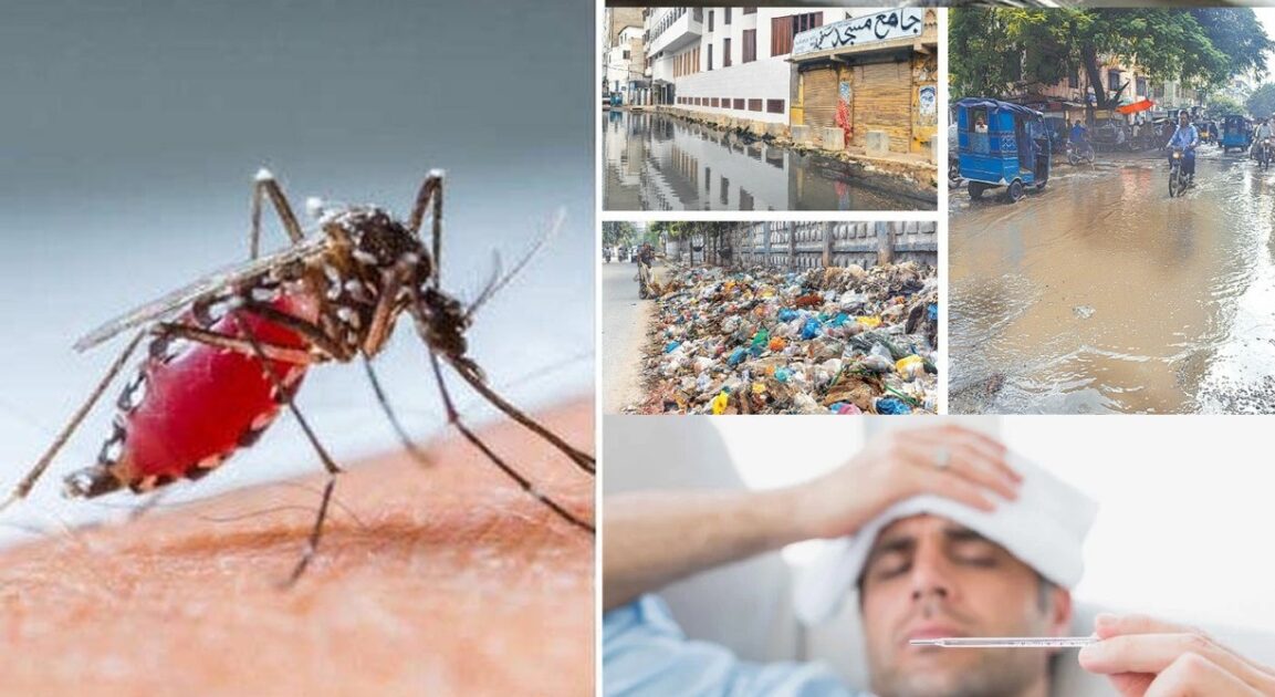 Dengue, Malaria, and Respiratory Diseases Surge in Karachi as Rainy Season Ends