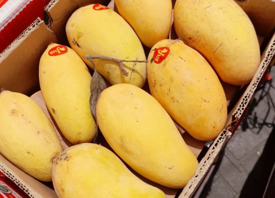 Pakistani Mangoes Worth $10 Land in Dubai, Sold at $120 After Repackaging: UAE Consul General Highlights Value Addition Potential