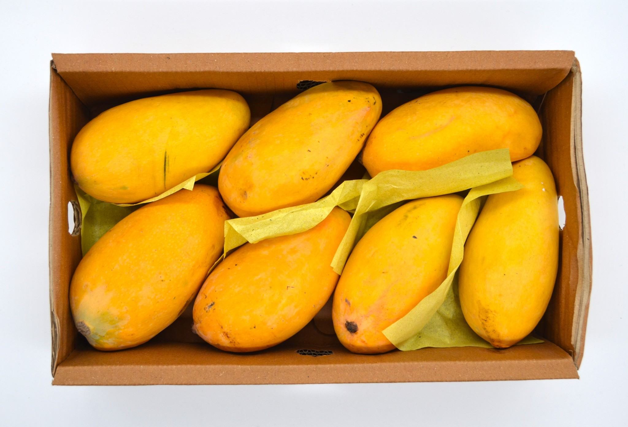 UAE Becomes the Largest Importer of Pakistani Mangoes